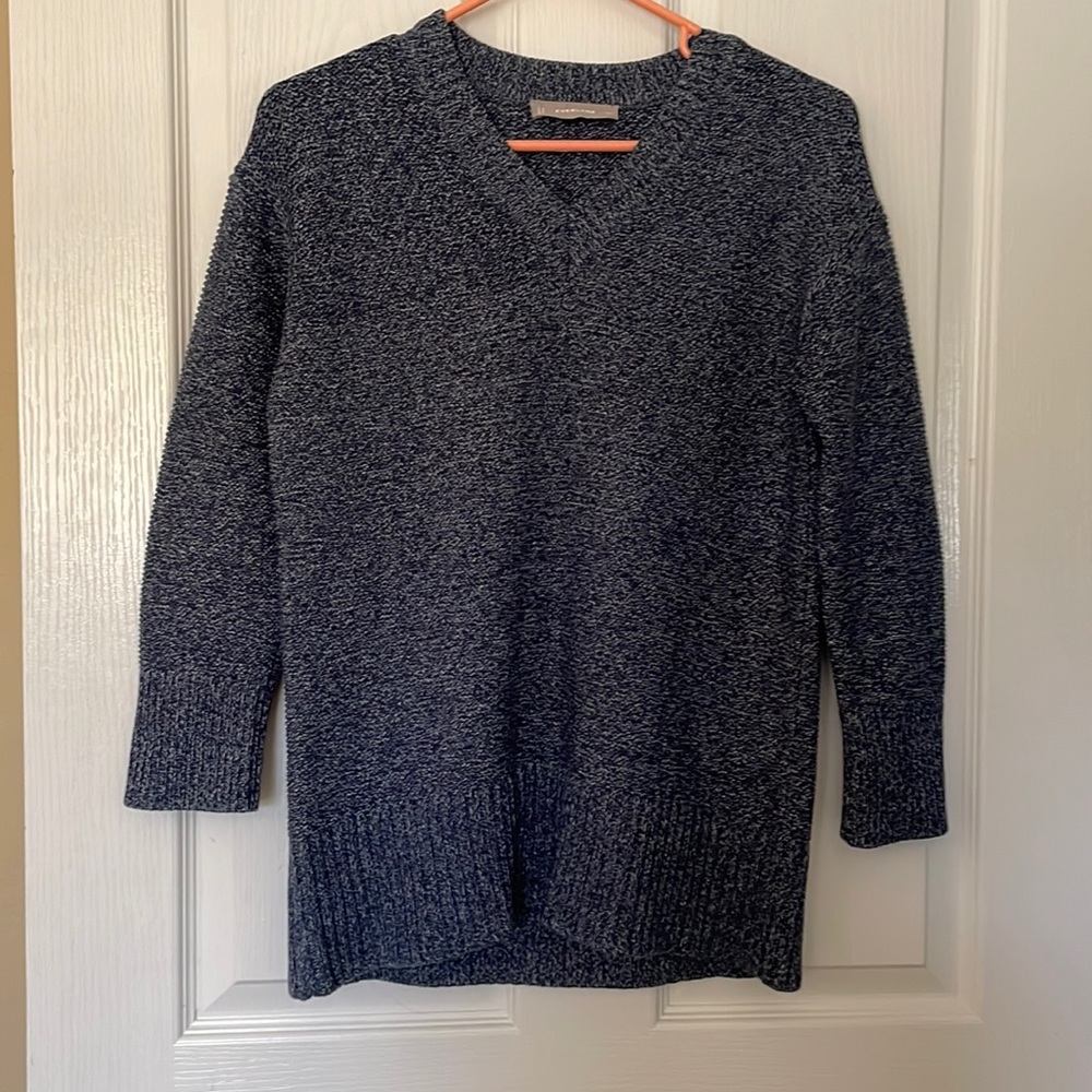 Everlane Cotton V-Neck Tunic Sweater